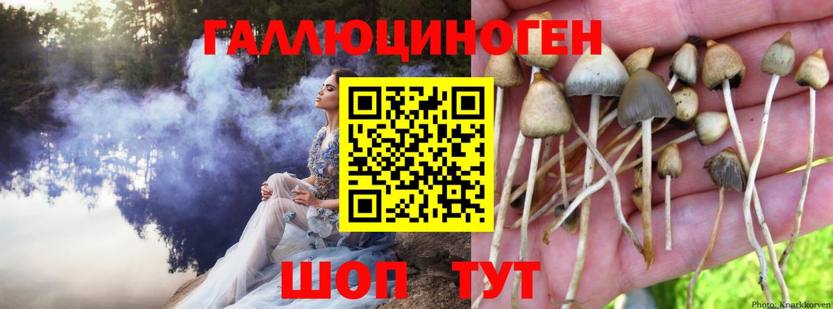 Мыски  где купить наркоту  Вход с VPN  Псилоцибиновые грибы Magic Shrooms  Псилоцибиновые грибы MAGIC MUSHROOMS 