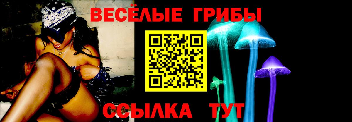 Псилоцибиновые грибы Psilocybe Мыски